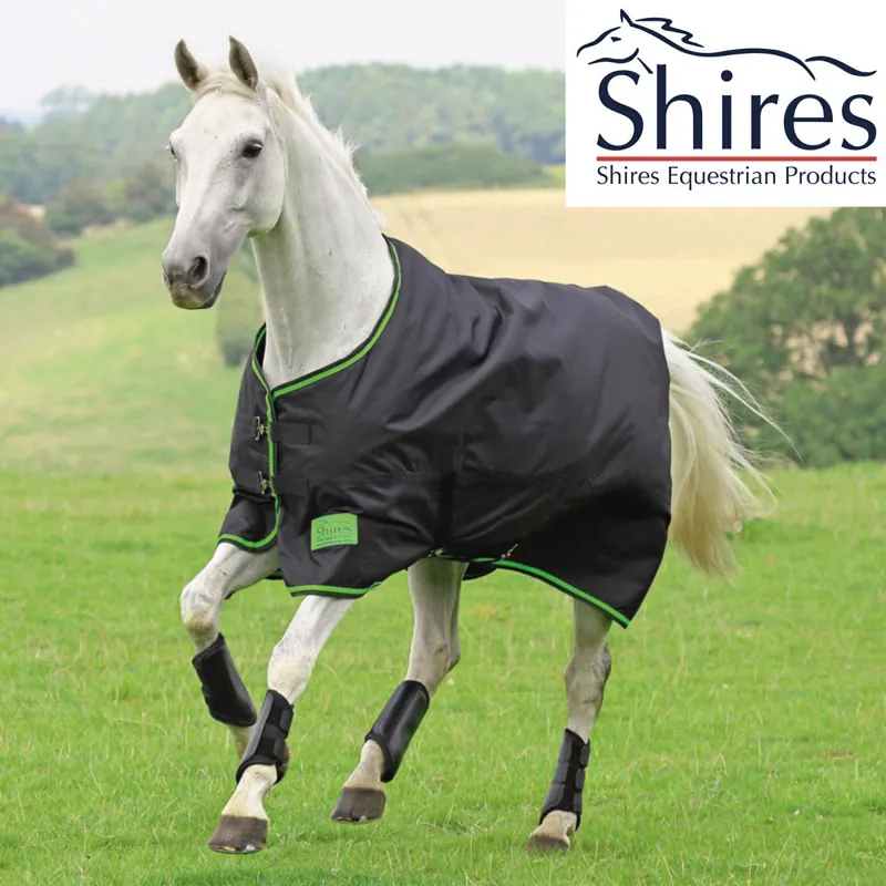 Shires Tempest 100 Original Turnout
